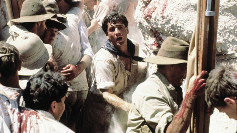 Image d'arrière-plan 10 du film Gallipoli