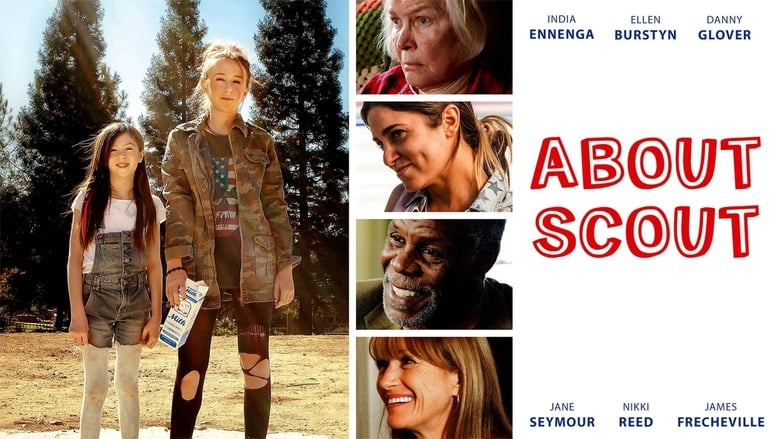 About Scout 2015 123movies