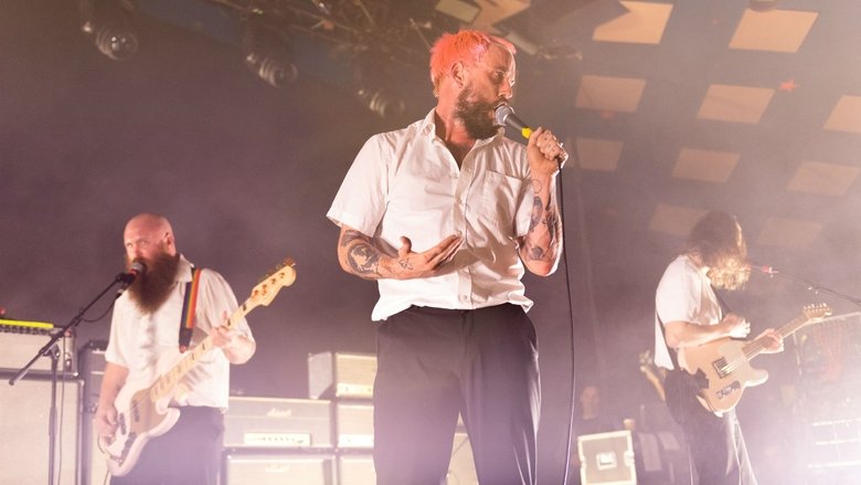 Don't Go Gentle: A Film About IDLES movie poster