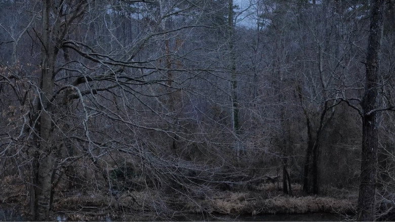 Gallery image from fBRE9s8yIhogbJxE0KFggAu4zc3.jpg