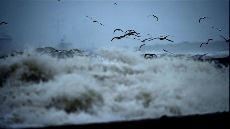 Gallery image from fBnKD4j4PiaDMW6y05GKzMLz7zq.jpg