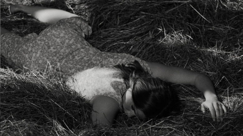 Image d'arrière-plan 2 du film L'Allégement