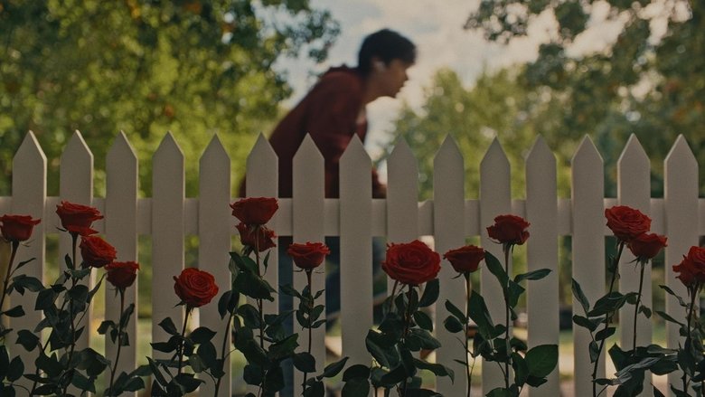 Gallery image from fCX24i5ddF1sSMpl0frST6OQEIo.jpg