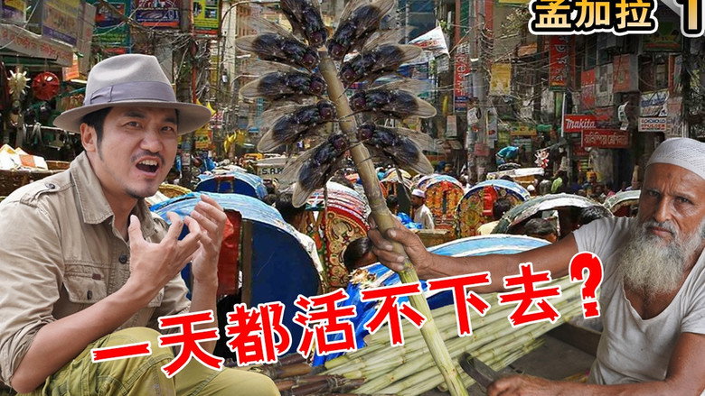 Episode 223