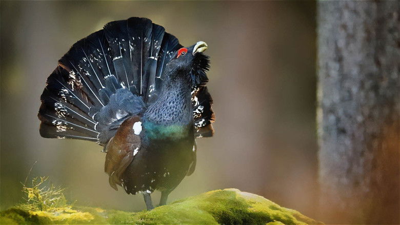 Gallery image from fDu9yAEAJwWHlCWe7POaovrKOYg.jpg