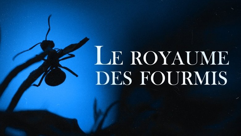 Le Royaume des fourmis (2022)