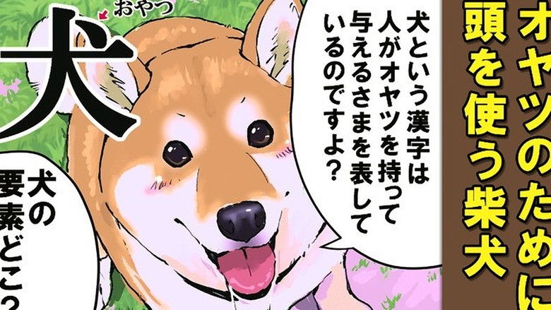 Still image for Doomsday with My Dog season 1 episode 58: Special Lecture 1 / Special Lecture 2 / Dogs and Kanji 1 / Dogs and Kanji 2 Still image for Doomsday with My Dog season 1 episode 58: Special Lecture 1 / Special Lecture 2 / Dogs and Kanji 1 / Dogs and Kanji 2