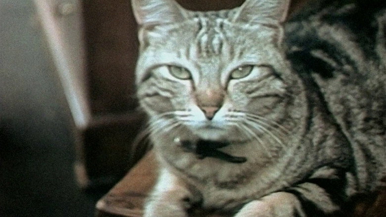 Letter from Paris (1975)