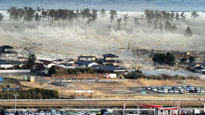 Witness: Disaster in Japan movie poster