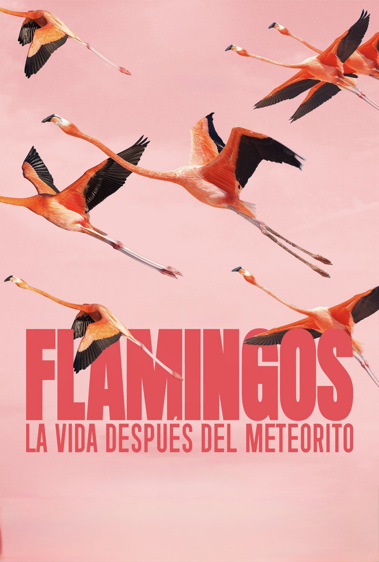 Imatge de Flamingos: La vida después del meteorito