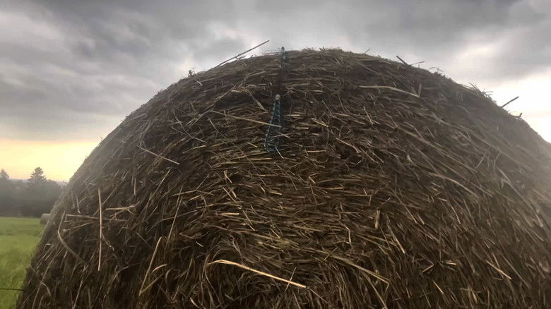 Imatge de Psychical Pearls