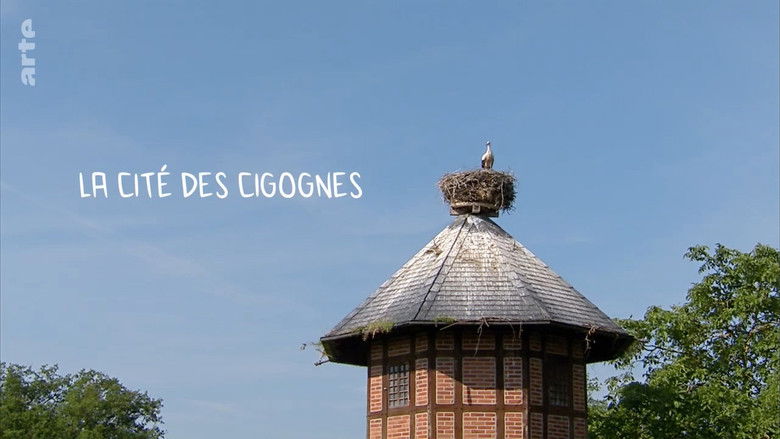 Gallery image from fHEuY5pi4kfGZS2mo24YGT1Z29c.jpg