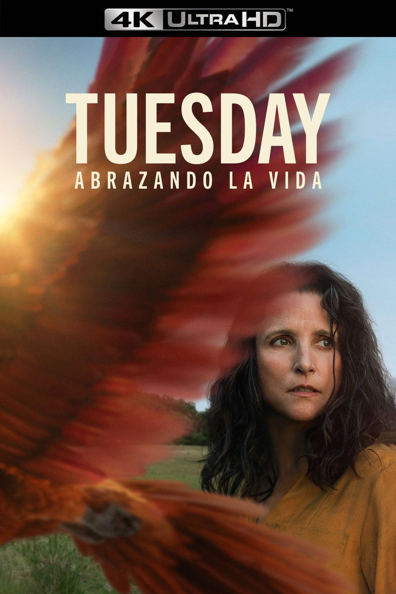 Póster la Película
