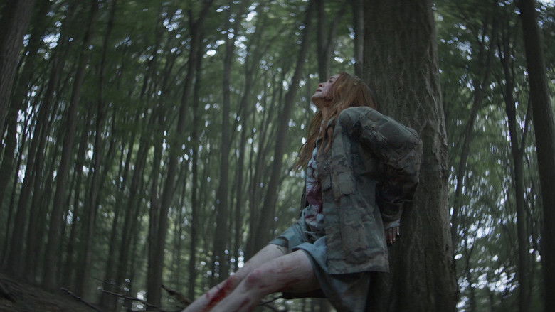 Image d'arrière-plan 1 du film The Strangers