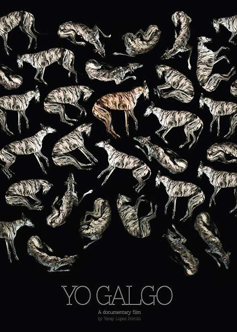 Yo Galgo main poster
