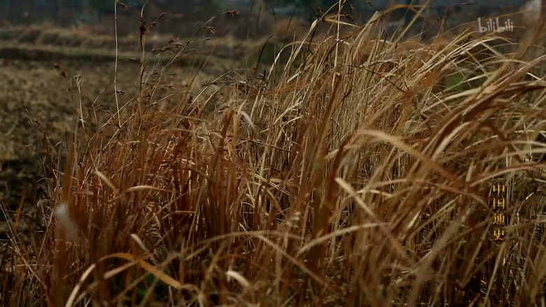 Still image for General History of China season 1 episode 5: Episode 5