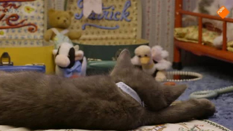 Still image for Poesjes season 1 episode 12: Episode 12 Still image for Poesjes season 1 episode 12: Episode 12