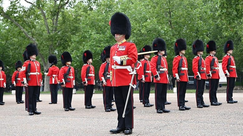 مشاهدة مسلسل The Queen’s Guards: On Her Majesty’s Service مترجم أون لاين بجودة عالية