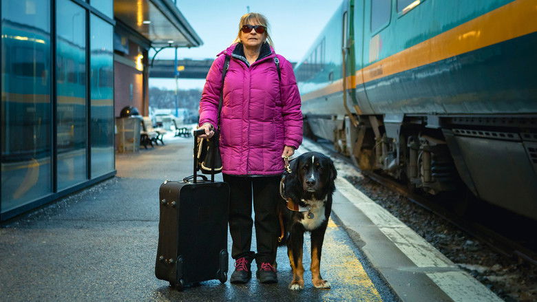 Still image for Les diplômés Mira season 1 episode 5: Episode 5 Still image for Les diplômés Mira season 1 episode 5: Episode 5