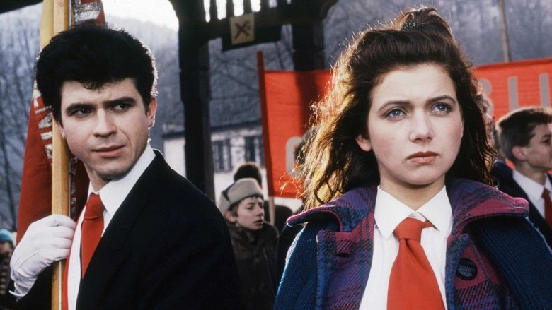 Gallery image from fKDNjPIyXaQq7ierZN18dm0f9Vq.jpg