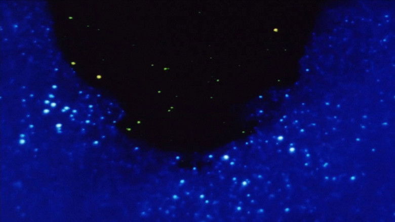 Gallery image from fKMLGSdaCJlI6l0B0Y9XQ7ATfF2.jpg