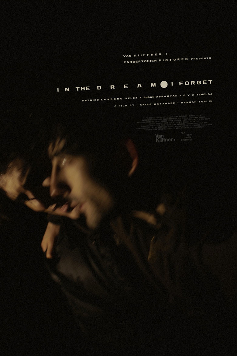 Imatge de In the Dream I Forget