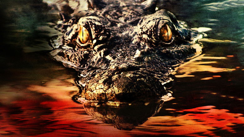 Backdrop de Lake Placid Collection