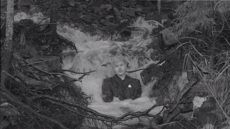 Gallery image from fKq6wqHrJESCyqr04u2lpJqmD4K.jpg