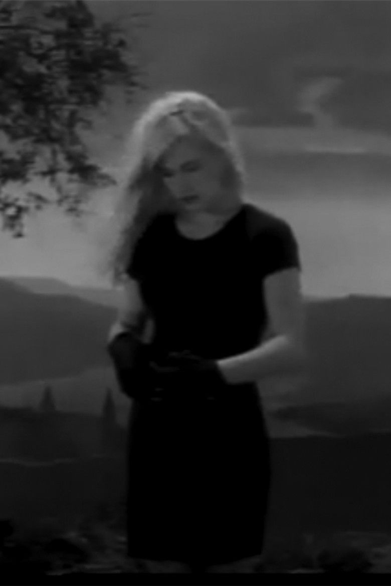 Imatge de Second Campaign