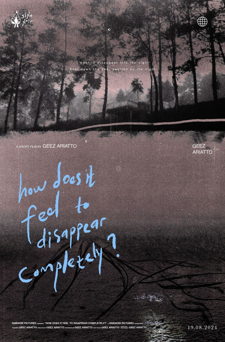 Imatge de How Does It Feel to Disappear Completely?