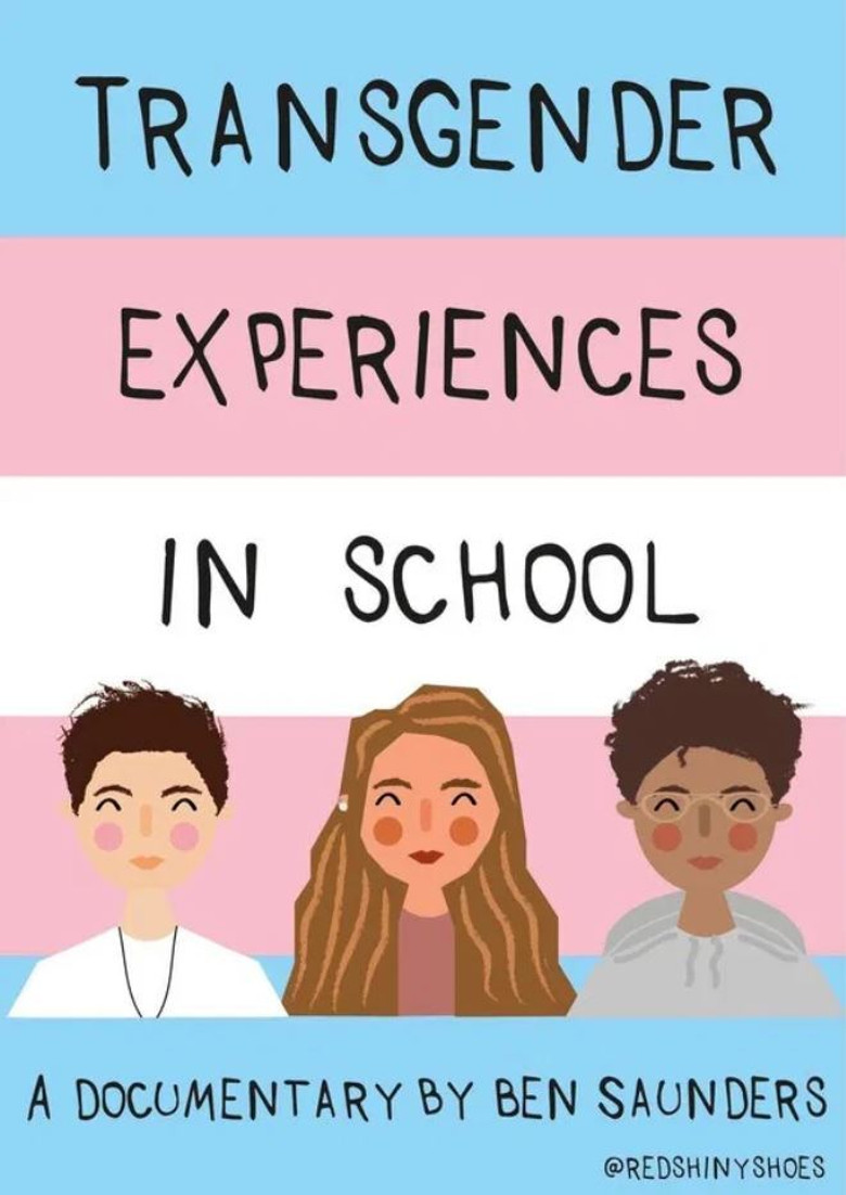 Transgender Experiences in School background