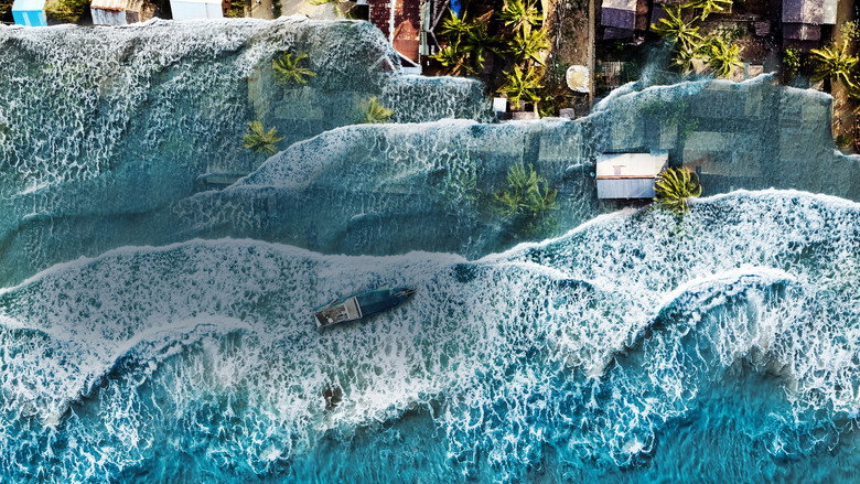Tsunami: Race Against Time