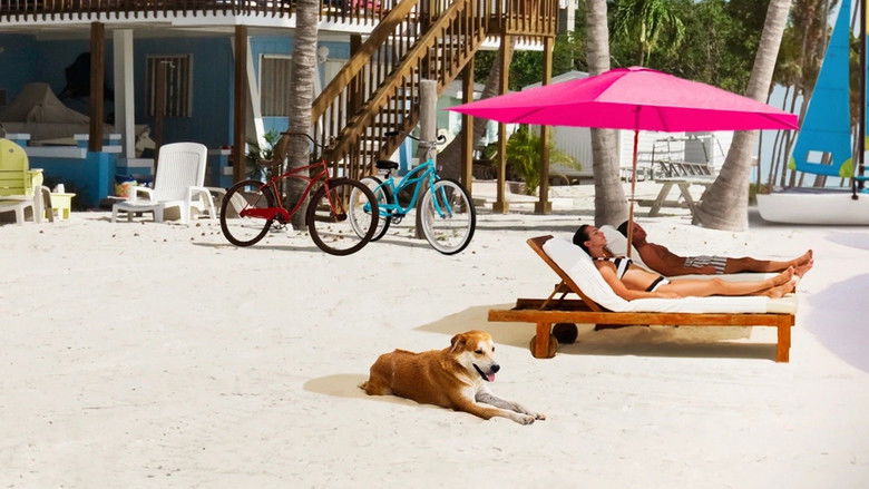 Gallery image from fMT1oezjqmFvaj7AtQvMMLLsLUY.jpg