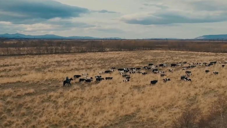 Still image for Aile Olmak II season 1 episode 4: Episode 4 Still image for Aile Olmak II season 1 episode 4: Episode 4