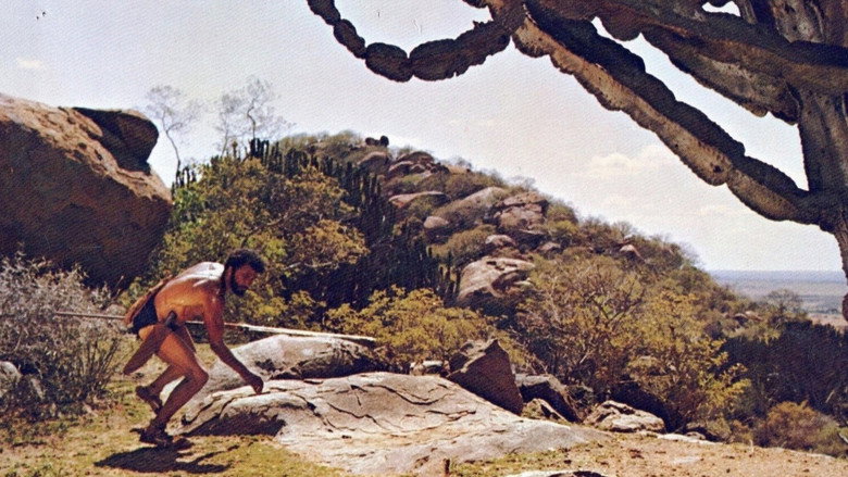 Backdrop