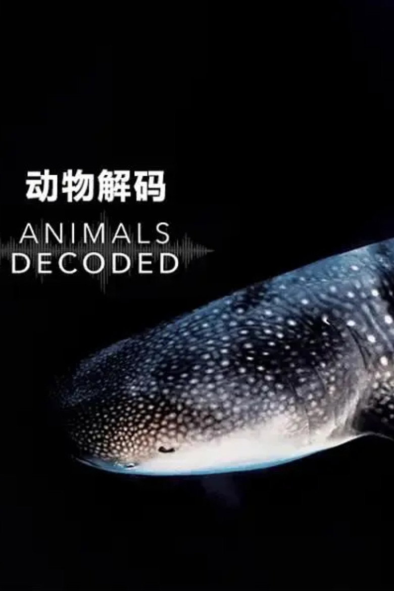 动物解码 (2018)-光鸭·臻影社