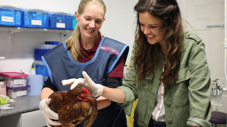 Still image for My Pet and Me Vet Tales season 2 episode 2: Episode 2