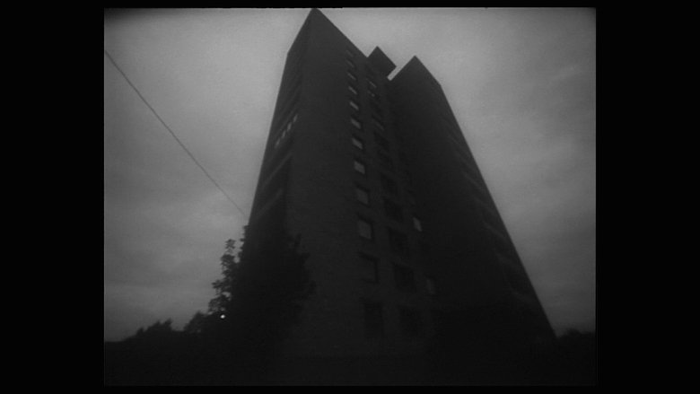 Gallery image from fNas4wOjf5hXBHzFvR85V0a3Eu4.jpg
