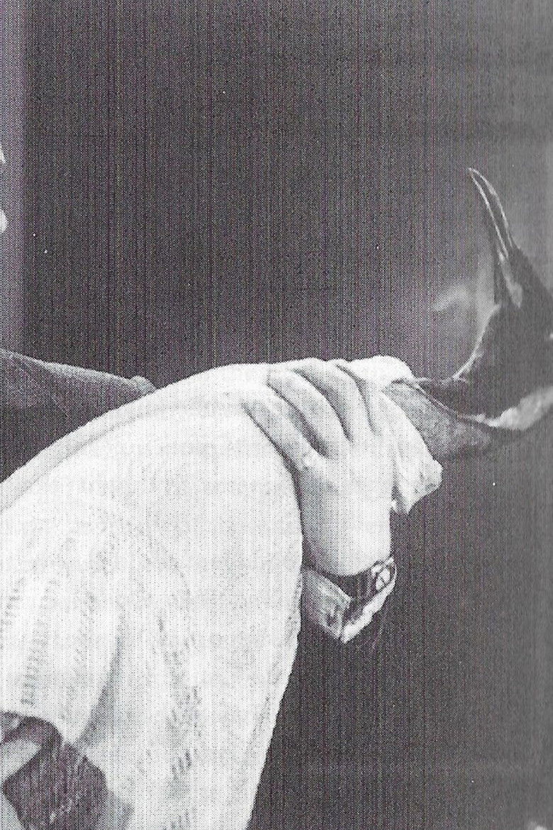 To Brighton with Gladys