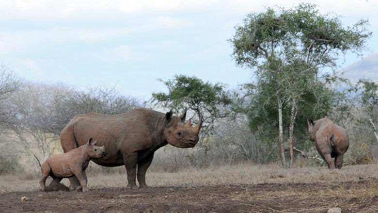 Přežili rok 2000 Sezóna 1 Epizoda 11 bombuj