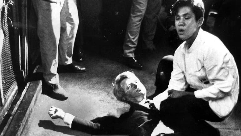 The Second Dallas: Who Killed RFK?