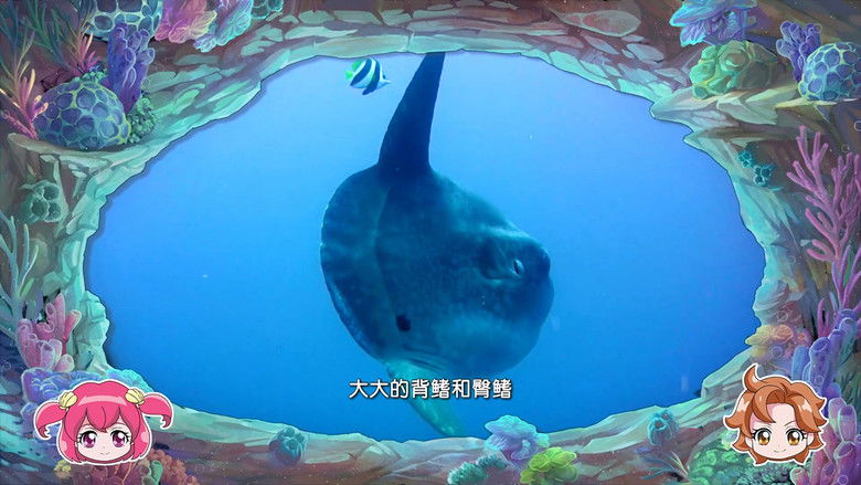 Still image for 巴啦啦小魔仙魔法海洋馆 season 1 episode 17: Episode 17