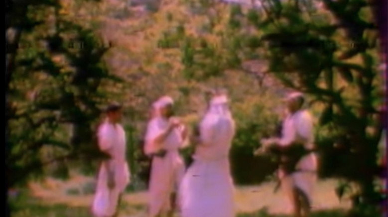 روابي الباحة 15