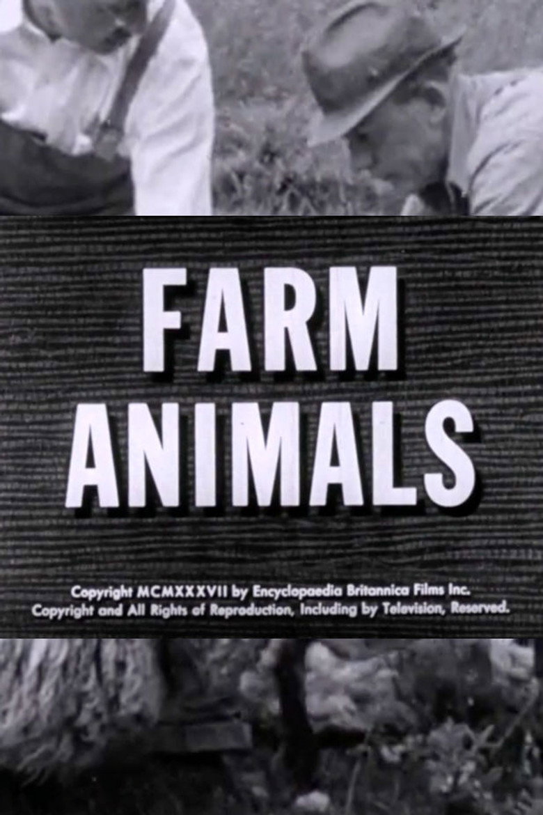 Farm Animals background