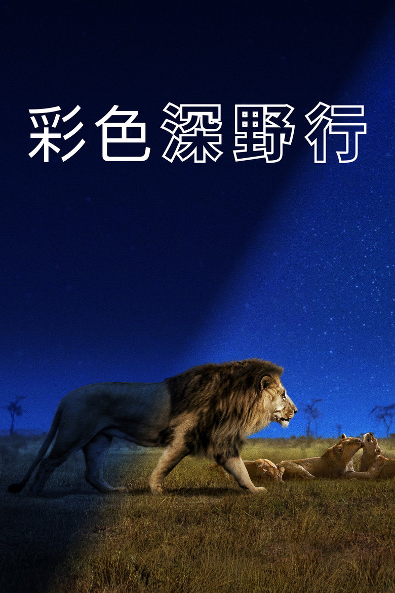Earth at Night in Colour (2020)-光鸭·臻影社