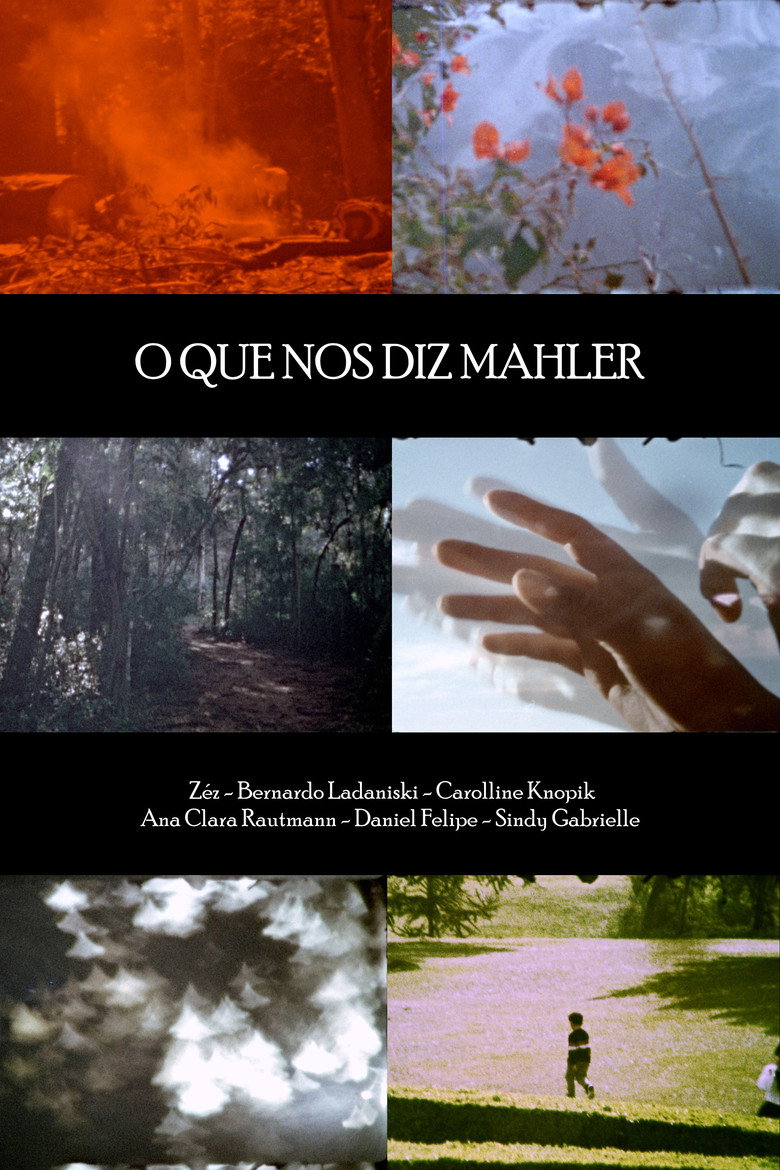 Imatge de O Que Nos Diz Mahler