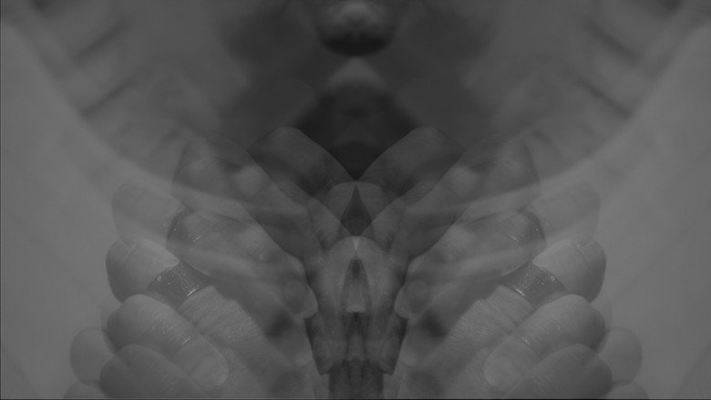 Gallery image from fS4DVJPT9ECBL6VHdYYR5aYDaYl.jpg