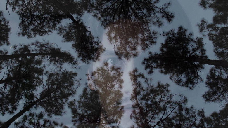 Imatge de Menino Bosque