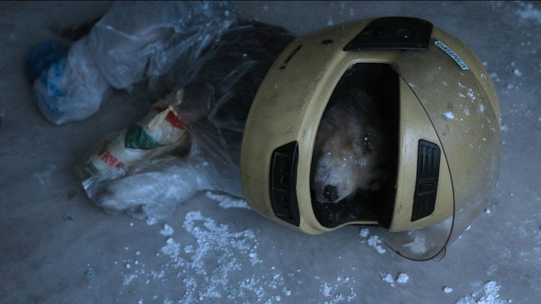 Fszwlenbubgecma9qcwmuw3phaj