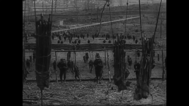 Film backdrop